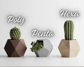 GeoTrio 3D Printed Planter Set – Modern Geometric Mini Pots