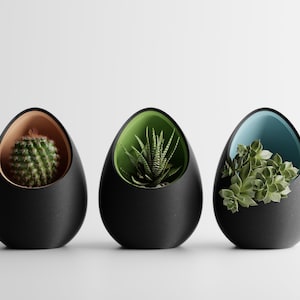 May include: Three black egg-shaped planters with different colored interiors, each containing a different type of succulent plant.