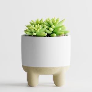 May include: A small succulent plant in a white ceramic pot with three beige legs.
