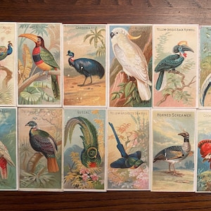 Players Cigarettes Bird Cards