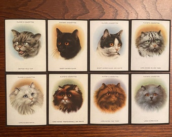 24 Cat Breed Cigarette Card Reproductions for Scrapbooking, Junk Journaling, Mixed Media, Collage