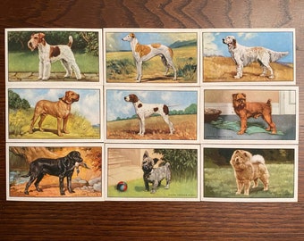 48 Vintage Dog Breed Cigarette Card Reproductions for Scrapbooking, Junk Journaling, Mixed Media, Collage