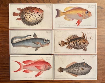 42 German 1700’s Rare Fish Etchings Reproductions for Scrapbooking, Junk Journaling, Mixed Media, Collage