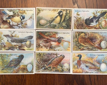 48 Vintage Bird/ Egg/ Nest Cigarette Card Reproductions for Scrapbooking, Junk Journaling, Mixed Media