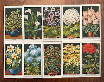 50 Vintage Potted Plants Cigarette Card Reproductions for Scrapbooking, Junk Journaling, Mixed Media
