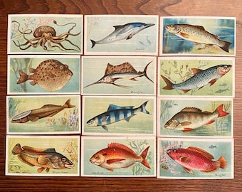 40 Vintage Fish Cigarette Card Reproductions for Scrapbooking, Junk Journaling, Mixed Media, Collage