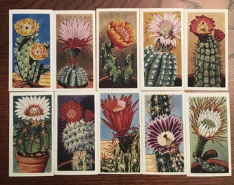 23 Cactus Cigarette Card Reproductions for Scrapbooking, Junk Journaling, Mixed Media, Collage