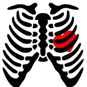 Skeleton Rib Cage Heart  SVG PDF PNG Eps Dxf -  Welcome  Silhouette- Cricut Compatible
