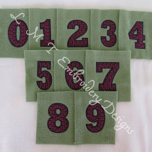 Applique Number Embroidery Designs - 3 Inches - Custom Size Request Welcome