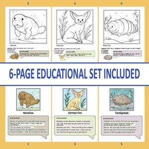 May include: A 6-page educational set featuring illustrations of a manatee, fennec fox, and tardigrade. Each page includes a quiz and fun facts about the animals. The set is designed for educational purposes.