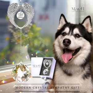 Personalized Pet Memorial Gift, Cat Memorial Wind Chime, Memorial Gift Loss of Dog Cat Remembrance Gift, Sympathy Gift, Memorial Suncatcher