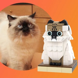 Figura de ladrillo de mascota personalizada, cuerpo completo personalizable, 1 figura de ladrillo con foto de gato, solo gato personalizado