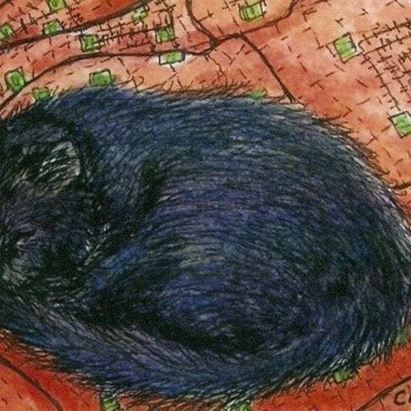 ACEO  Sleeping Black Cat on Orange Quilt Limited Edition Print from Original Painting