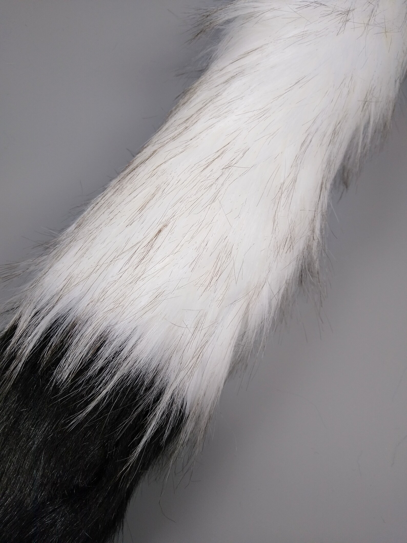Arctic Wolf Halloween Costume Wolf Ears and Wolf Tail Fox Ears and Fox