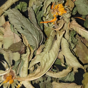 The essential Herbal Tea - Verbena, Moroccan mint, marigolds