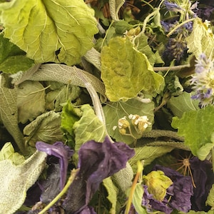 Le Tigestif Herbal Tea - Agastache, fennel, sage, lemon balm, yarrow