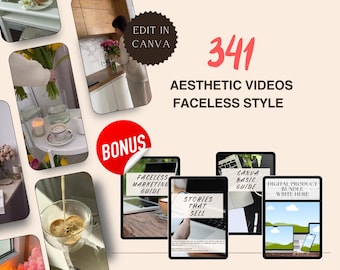 341 Aesthetic Faceless Reels Videos Master Resell Rights & PLR Faceless Marketing Guide MRR PLR Digital Products Instagram Reels Videos
