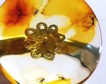 May include: A circular, translucent amber-colored resin object featuring a central gold-toned metal flower-shaped embellishment. The resin contains visible inclusions of small, dark, winged insects suspended within the yellow and clear material.