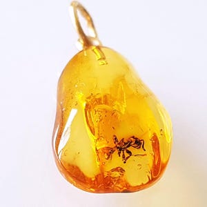 Natural Baltic Amber Pendant with Fossil Insect Inclusion Unisex