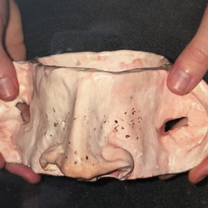 May include: A pale pink ceramic bowl featuring a sculpted human nose on the front and two large ear-shaped handles on the sides. The surface has a textured, skin-like appearance with small brown speckles scattered across the nose and bowl rim.