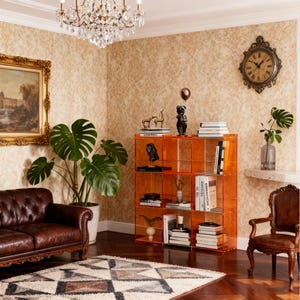 Puede incluir: Una toma interior de una sala de estar con una moderna estantería de acrílico naranja llena de libros y objetos decorativos. También se ven un sofá de cuero marrón, una alfombra estampada y una gran planta en maceta. Un candelabro cuelga del techo.