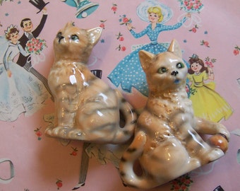 shakers / kitty orange tabby shakers