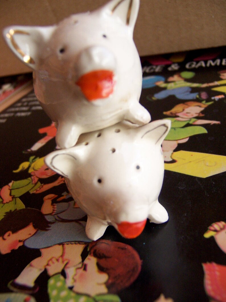 piggy shakers set