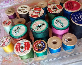 thread / dritz plastic case with thread