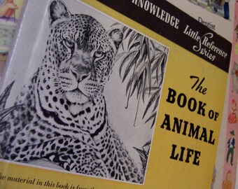 book / 1940 the book of animal life