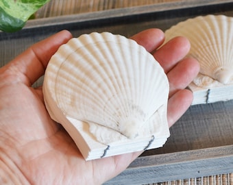 Genuine seashell scallop shell art journal / Blank watercolor paper sketchbook / handmade art nature walk diary / Real Pecten shell books