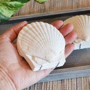 Genuine seashell scallop shell art journal / Blank watercolor paper sketchbook / handmade art nature walk diary / Real Pecten shell books