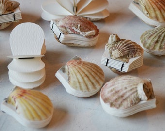 Real seashell tiny scallop shell art journal / Blank book / Micro watercolor paper sketchbook / tiny handmade art / nature walk book 13