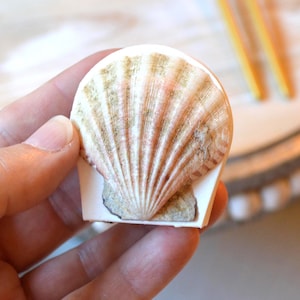 May include: A fan-shaped scallop shell with a textured, ribbed surface in shades of cream, tan, and soft pink. The shell is mounted onto a flat, white, rectangular base, creating a decorative object with a natural, organic appearance.
