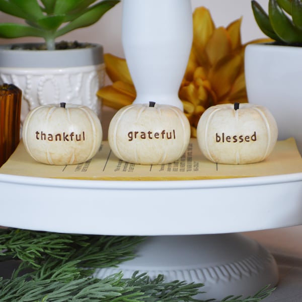 Thanksgiving decor 3 little white pumpkins thankful grateful blessed text wording nice present cute handmade clay hostess fall holiday gift