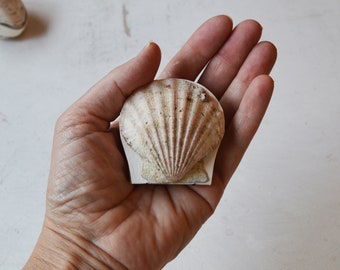 Real seashell tiny scallop shell art journal / Blank book / Micro watercolor paper sketchbook / tiny handmade art / nature walk book 18