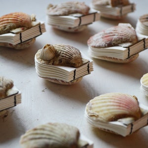 Real seashell tiny scallop shell art journal / Blank book / Micro watercolor paper sketchbook / tiny handmade art / nature walk book 14