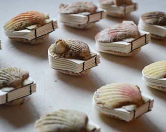 Real seashell tiny scallop shell art journal / Blank book / Micro watercolor paper sketchbook / tiny handmade art / nature walk book 14