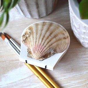 May include: A small, fan-shaped notebook with a natural scallop shell attached to the front cover. The notebook features white paper pages bound with black thread, accompanied by two gold-toned paintbrushes with silver ferrules.