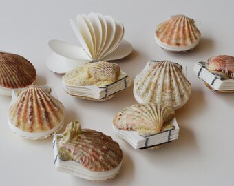 Real seashell tiny scallop shell art journal / Blank book / Micro watercolor paper sketchbook / tiny handmade art / nature walk mini book