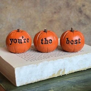 You're the best pumpkins / you are loved / gift for her mom friend sister brother / 3 clay pumpkins decor image 2