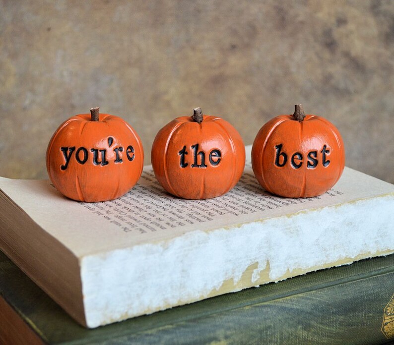 You're the best pumpkins / you are loved / gift for her mom friend sister brother / 3 clay pumpkins decor image 2