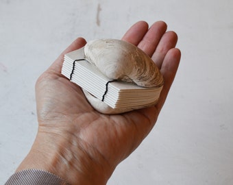 Genuine seashell clam shell art journal / Blank book / Mini watercolor paper sketchbook / handmade art / nature walk mini book bb