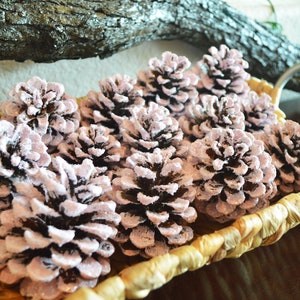 5 glitter soft pink pinecones / coffee table decor / Glam Christmas sparkly decorations / table scatter tiered tray decor / vase bowl filler