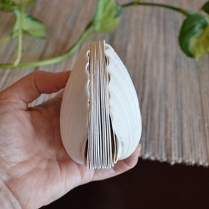 Genuine seashell scallop shell art journal / Blank book / watercolor paper sketchbook / handmade art books/ nature walk book / Pecten shell image 6
