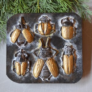 May include: A dark, rectangular plaque featuring six detailed, three-dimensional beetle sculptures. The beetles have metallic gold wings and accents, contrasting with their dark gray bodies. The plaque has a textured, aged appearance, suggesting a vintage or antique aesthetic.
