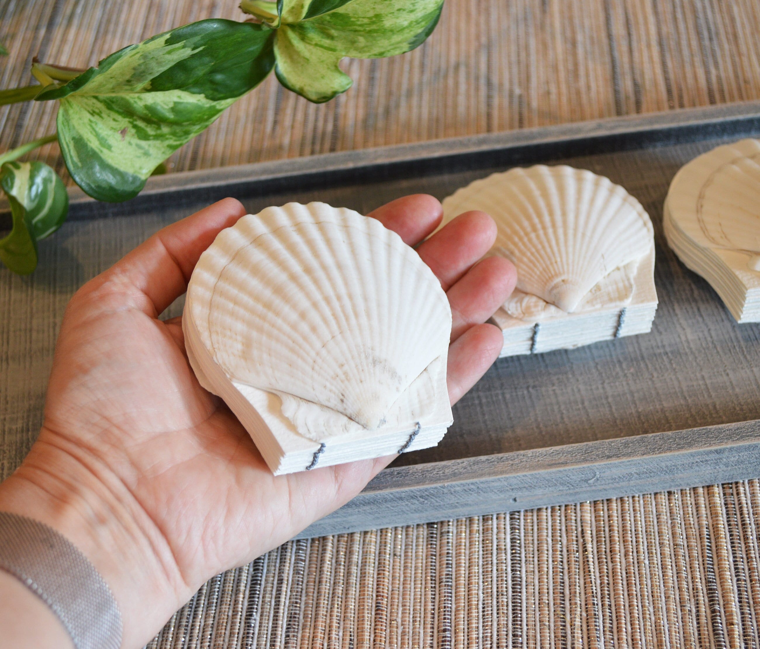 Genuine seashell scallop shell art journal / Blank watercolor paper sketchbook / handmade art nature walk diary / Real Pecten shell books
