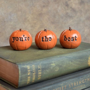 You're the best pumpkins / you are loved / gift for her mom friend sister brother / 3 clay pumpkins decor image 3