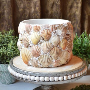 May include: A cylindrical planter covered in a mosaic of various seashells in shades of tan, cream, and orange, interspersed with small white crushed stone fragments. The interior of the container is smooth and white, featuring a wide circular opening.