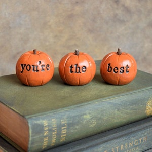 You're the best pumpkins / you are loved / gift for her mom friend sister brother / 3 clay pumpkins decor image 1
