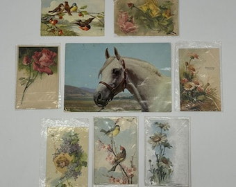 Lote de 8 postales antiguas vintage ~ Material para proyectos artísticos